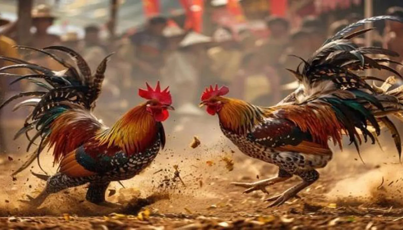 Wide range of casino and sports games available at 774pub